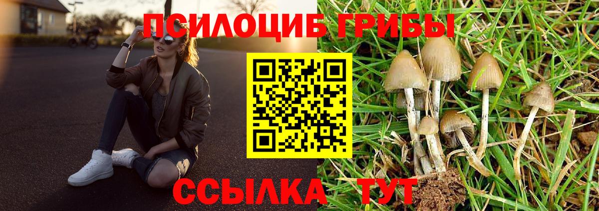 Псилоцибиновые грибы ЛСД  Галлюциногенные грибы мицелий  Вход с VPN  Отрадное 