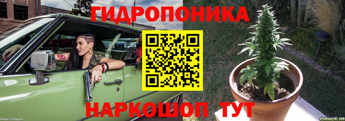 Бошки марихуана ГИДРОПОН Отрадное